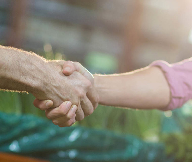 People shaking hands