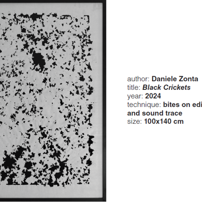 Zonta Biennale Irpinia 2024 Black Crickets, 100X140cm Photo