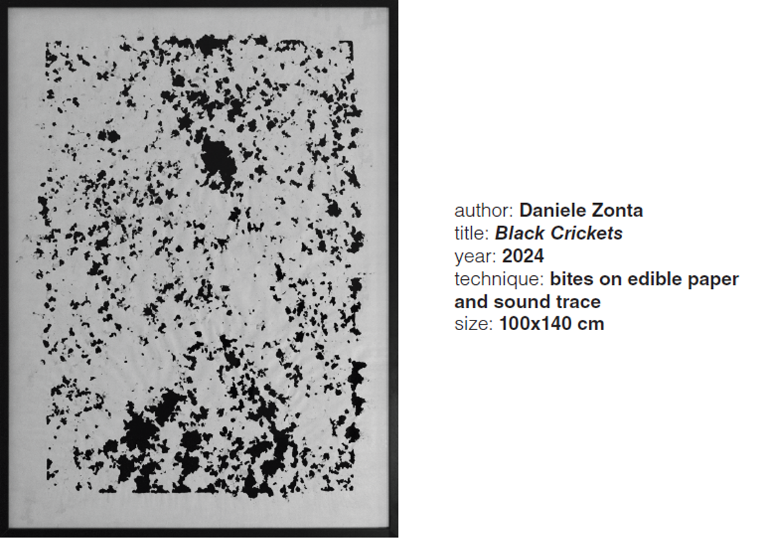 Zonta Biennale Irpinia 2024 Black Crickets, 100X140cm Photo